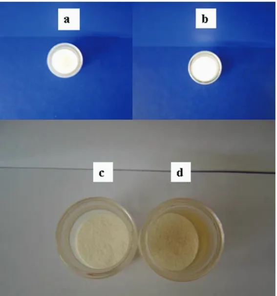 Figure S2. Experimental set up for evaluation of the distribution of microwave radiation within the microwave oven cavity.