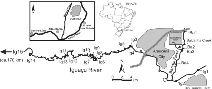 Figure 2. Study region and location at the sampling stations in the Iguaçu and the Barigui Rivers.