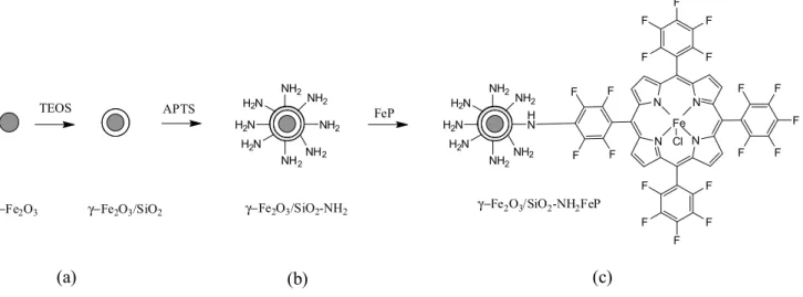 Figure 2 depicts the scheme relative to the preparation  of  γ-Fe 2 O 3 /SiO 2 –NHFeP