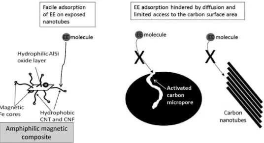 Figure 19. Scheme comparing the adsorption of EE on the vermiculite composite, activated carbon and carbon nanotube bundles (adapted from reference 47).