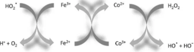 Figure 2. Proposed mechanism for the participation of Co in the Fenton  reaction.