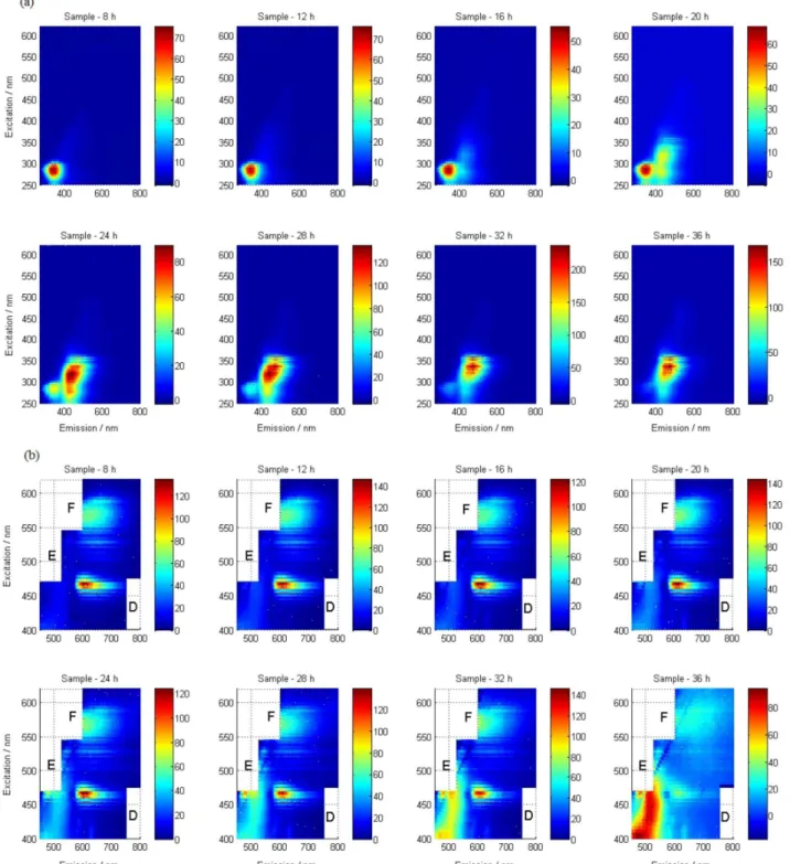 Figure 6. Kinetic evolution of EEMs obtained during the violacein biosynthesis (a) entire spectral range and (b) low energy regions (D, E and F).