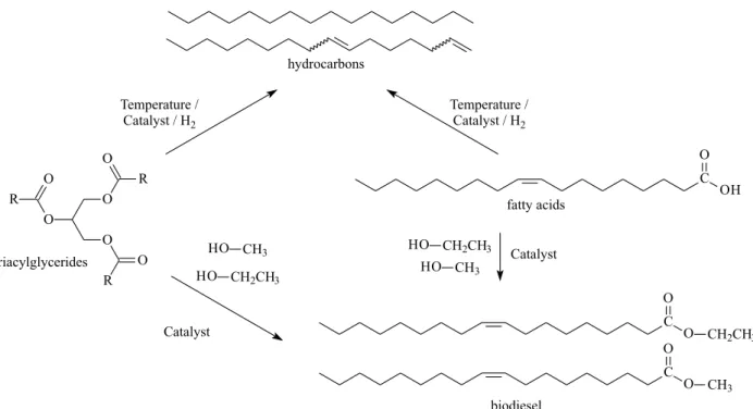 Figure 2. Biofuels (hydrocarbons and biodiesel) obtained from triacylglycerides and fatty acids