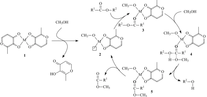 Figure 4. Proposed mechanism for alcoholysis of triacylglycerides using Lewis acid metal complexes as catalyst precursors