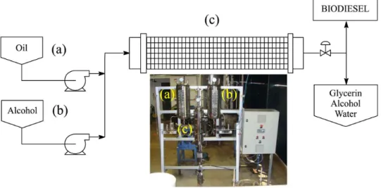 Figure 5. Scheme and picture the pilot plant designed to produce biodiesel using heterogeneous catalysts operating in a continuous flow: (a) fatty material  stock, (b) alcohol stock and (c) tubular reactor