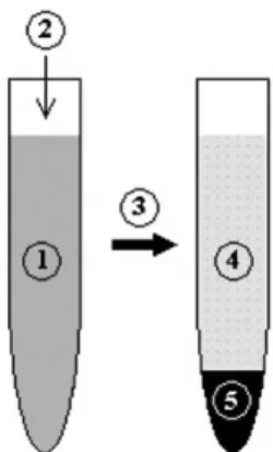 Figure 1. Experimental procedure used for uptake of resins by  precipitating asphaltenes: (1) resins solution in n-heptane (c i ) (2) 0.5 mL  solution containing 40 mg of asphaltenes in toluene, (3) centrifugation  for 120 min, (4) resins solution in n-hep