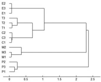 Figure 4. Dendrogram using the KNN (k-nearest neighbor clustering)  method for hierarchical cluster analysis