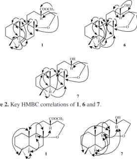 Figure 2. Key HMBC correlations of 1, 6 and 7.