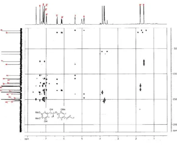 Figure S5.  1 H- 1 H COSY spectra of fargesiphenol A (1).