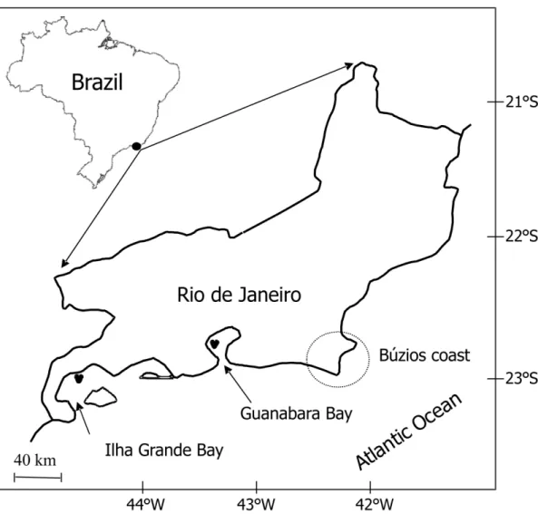 Figure S1. Trichiurus lepturus sampling areas along the Rio de Janeiro State coast.