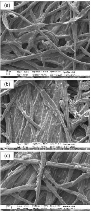 Figure 9. SEM micrographs of the canvas (a) native (magnification of  500×), (b) with a linseed oil layer stratified (magnification of 500×) and  (c) after lipase treatment (magnification of 812×)