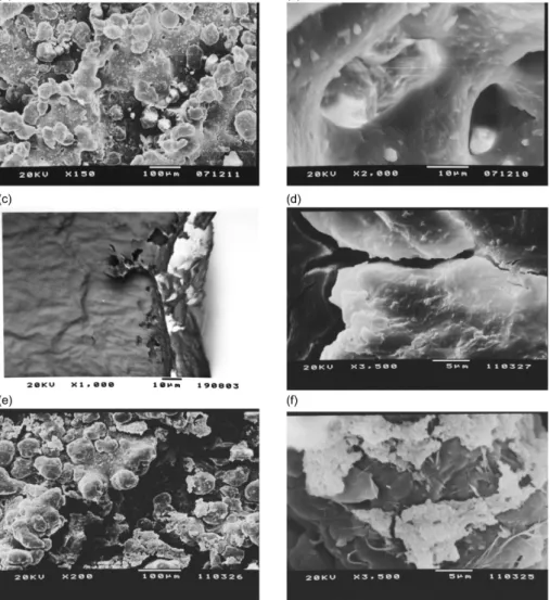 Figure 1c corresponds to the micrograph that evaluates the  thickness of PA coated with the sol prepared with phosphate  (NcP), which has a very small thickness