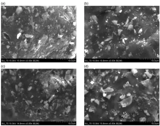 Figure 2. Surface of the PA substrate after contact with SBF (a) NcP 15 days, (b) NcP 30 days, (c) NsP 15 days and (d) NsP 30 days.