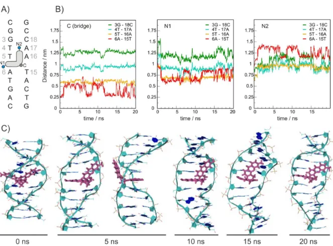 Figure 3. Time evolution of SYM-INT complex. A) Schematic representation of binding site and binding mode