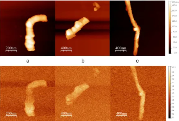 Figure 8. EFM topographic (top) and corresponding EFM frequency images (bottom) in an inert and dry N 2  atmosphere for a) MWCNT, b) oxidized- oxidized-MWCNT and c) aminated-oxidized-MWCNT