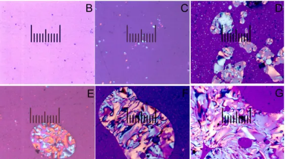 Figure 14. Micrographs of polarized light of the pitches submitted to the thermic treatment (samples B-G) augmented 50 times