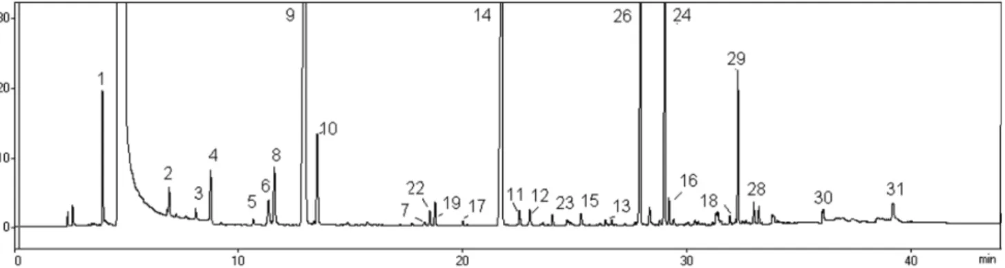 Figure 4.Total ion current chromatogram for HS-SPME-GC/MSD analysis of a typical base wine from Serra Gaúcha