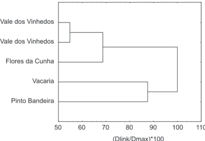 Figure 5. Dendrogram obtained for Chardonnay base wines of different  regions of Serra Gaúcha using Ward’s method and Euclidean distances.