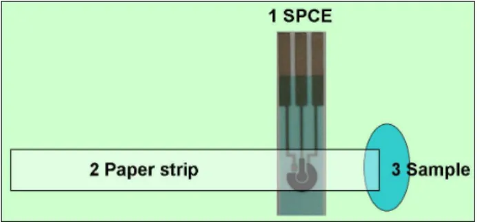 Figure 1. Scheme of a paper-based electrochemical sensing device. The  sensor comprises (1) SPCE, (2) paper strip and (3) sample cell.