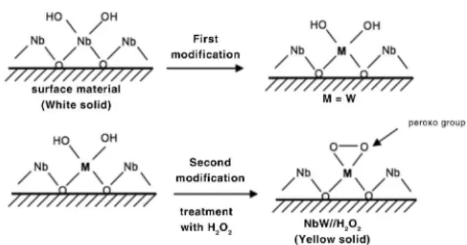 Figure 1. Simplified scheme of the niobium oxide modification by doping  with W and the H 2 O 2  treatment.