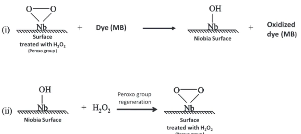 Figure 9. Scheme of the formation of peroxo niobium complex on niobia surface. 