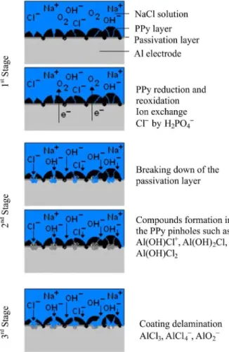 Figure 5. Scheme of the proposed protective mechanism of PPy coating  on aluminium in 3% NaCl solution.