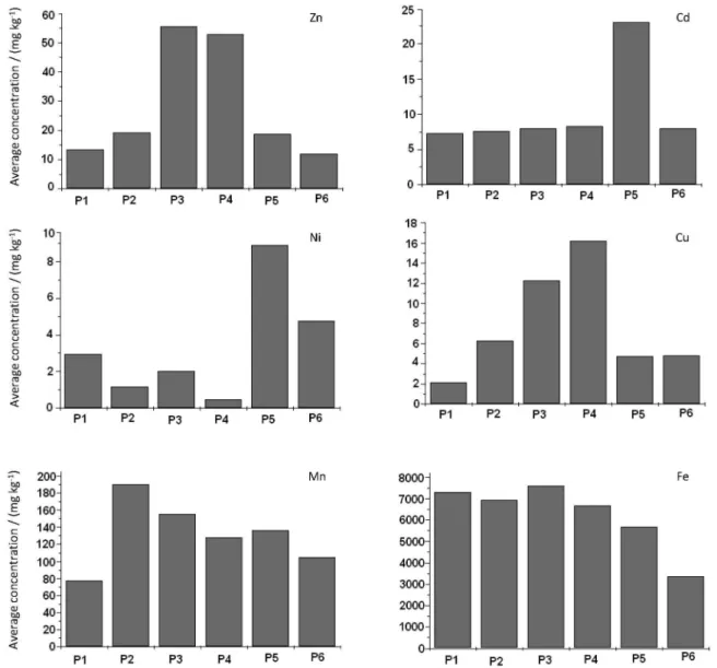 Figure 2. Average concentrations of Zn, Cd, Ni, Cu, Mn and Fe in the residual fractions of the sediments.