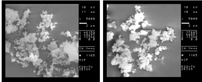 Figure 2. Scanning electron microscopy images of MIPs (left side) and NIPs (right side).