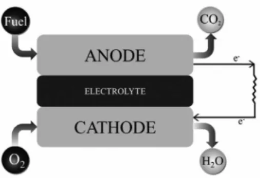 Figure 1. Representative scheme of the hydrocarbon fuel cell operation  mechanism. 