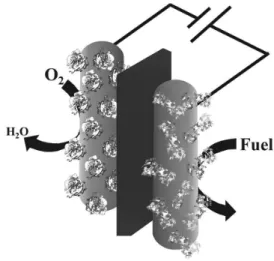 Figure 2. Schematic representation of an enzymatic biofuel cell. 