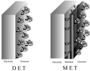 Figure 4. Types of electron transfer processes between enzymes and  electrode surfaces in enzymatic biofuel cells.