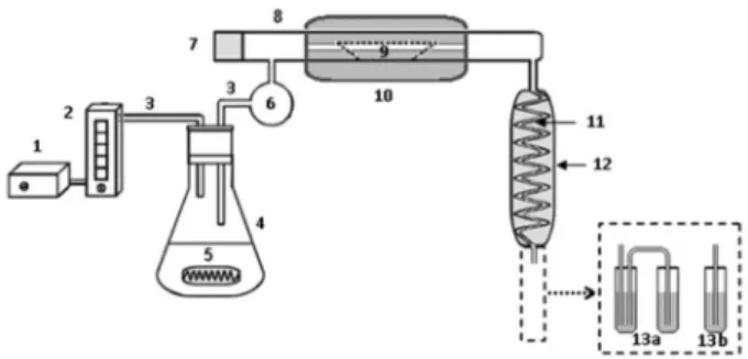 Figure 1. Pyrohydrolysis apparatus used for preparation of mineral  supplement samples prior to F, Br and I determination