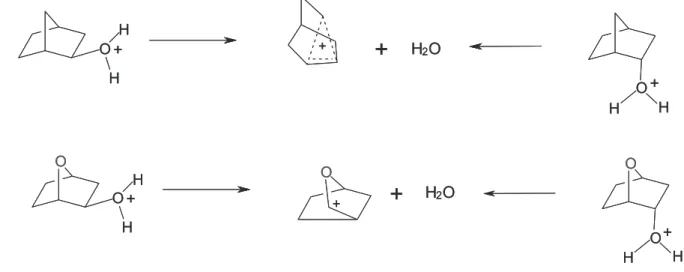 Figure 1 shows a pictorial representation of the  potential energy surface and the structures of protonated  2-endo- and 2-exo-norbornanol ground states (1-GS and  2-GS, respectively), the corresponding transition states  (1-TS and 2-TS) and the intermedia