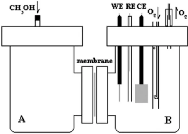 Figure 1. Scheme of the diaphragm diffusion cell.