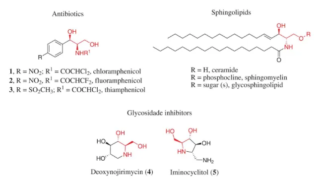 Figure 1. Biologically active compounds having 2-amino-1,3-propanediol motifs in their structures.