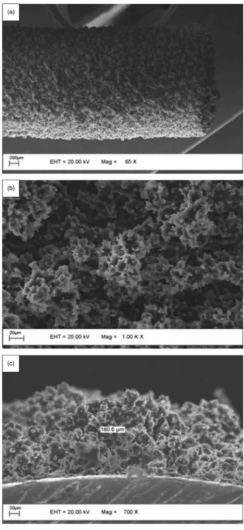 Figure 2. Cyclic voltammogram for the electrodeposition of polythiophene  (SS electrode) in TBATFB/acetonitrile solution (0.5 mol L -1 ) at a scan rate  of 100 mV s -1 , during 20 cycles.