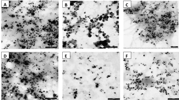 Table 2. Zeta potential reported for silver nanoparticles synthesized from  six different Fusarium species