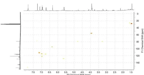 Figure S23. HMQC spectrum (400 MHz, CDCl 3 ) of isoflavone 3.