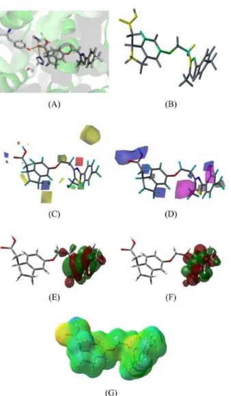 Figure 8. Contribution maps for the least potent compound (36). (A)  molecule docked into the active site; (B) HQSAR, (C) CoMFA, (D)  CoMSIA, (E) HOMO, (F) LUMO and (G) ESP maps