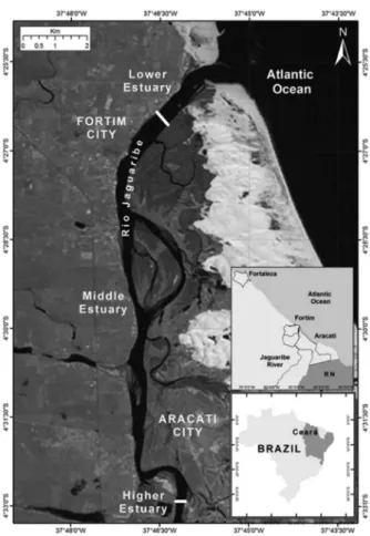 Figure 1. Location map of the Jaguaribe River estuary, NE Brazil. Cross- Cross-sections marked by a white line indicate the locations of the ADP profiles  and water samplings at the river-estuary and estuary-sea interfaces.