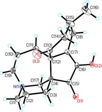 Figure 4. Key 2D NMR correlations of 2.