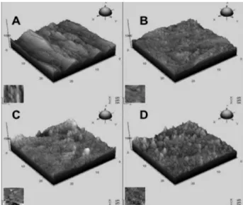 Figure 1 presents AFM images prior to polarization of the  copper electrode and after 10, 20 and 30 s of activation  according to the procedure described in the Experimental  section
