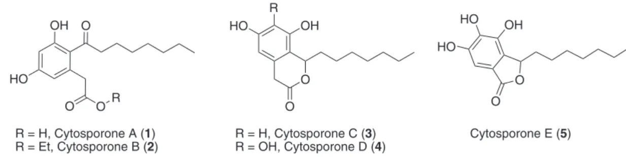 Figure 1. Cytosporones A-E.