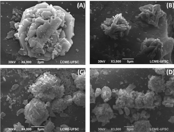 Figure 3. SEM images of (A) SiO 2(0.97) Cu 0.03 ; (B) SiO 2(0.95) Cu 0.05 ; (C) SiO 2(0.9) Cu 0.1  and (D) SiO 2(0.8) Cu 0.2 .
