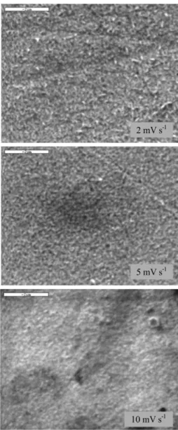 Figure 5. SEM images obtained after cycling in 0.1 mol L -1  NaOH at 2,  5 and 10 mV s -1 , magnification of 15000 ×.