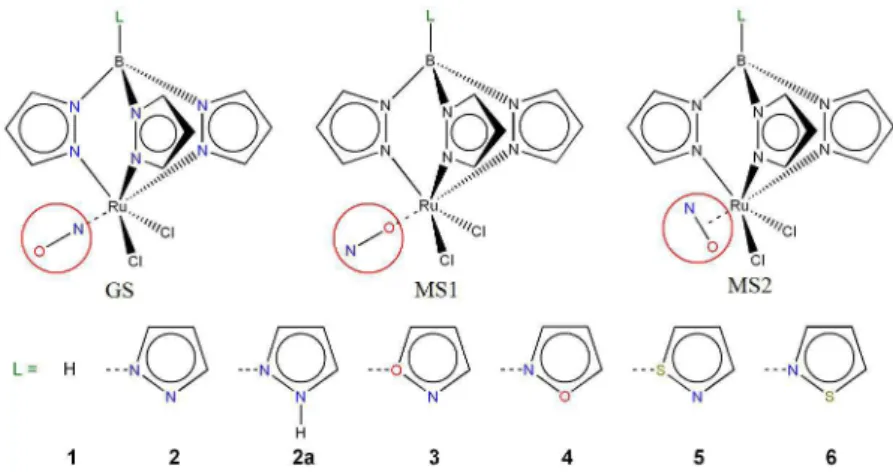 Figure 1. Schematic representation of the studied [TpRuCl 2 (NO)] complexes, in which not only the pseudoaxial substituents, L, but also the considered  states of {Ru−NO} 6  core (ground state (GS), and photoinduced metastable states (MS1 and MS2)) are hig