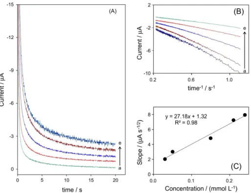 Figure 5B shows the fitted experimental plots for different  concentrations of isoflurane