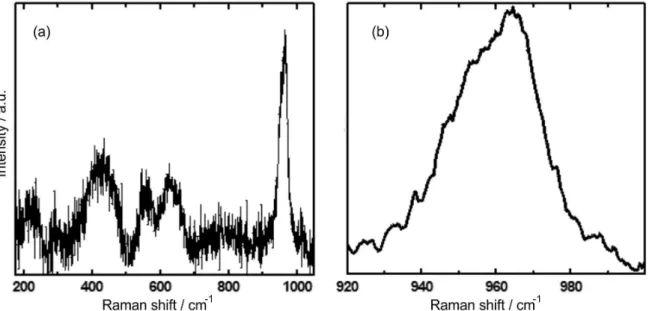 Figure 5. (a) Raman spectra of the coated Ti-20Nb-10Zr-5Ta alloy surface immersed in neutral Ringer’s solution for 300 h and (b) detail of the region  of the main peak.