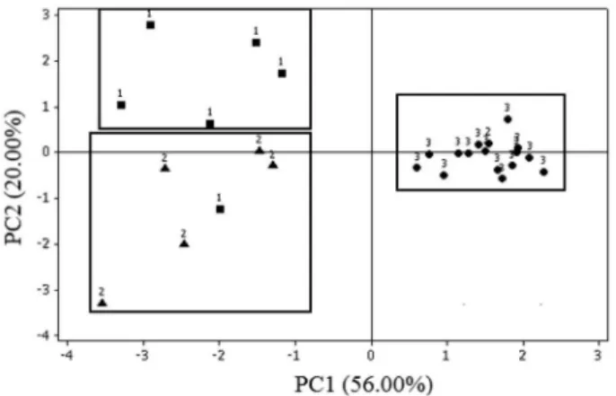 Figure 3. Principal component score plot of the separation of honey  samples by entomological origin