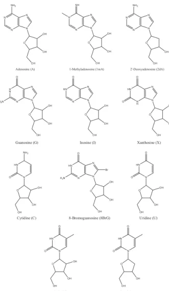Figure 1. Chemical structures of modified and non-modified nucleoside  standards and the internal standard (8BrG) investigated herein.